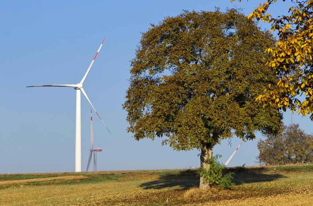 Ein Baum mit Windrädern im Hintergrund